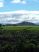 Dscf1661.jpg