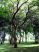 dscf0712.jpg