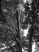 dscf0765.jpg