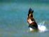 dscf2890.jpg
