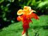 dscf3185.jpg