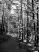 dscf3456.jpg